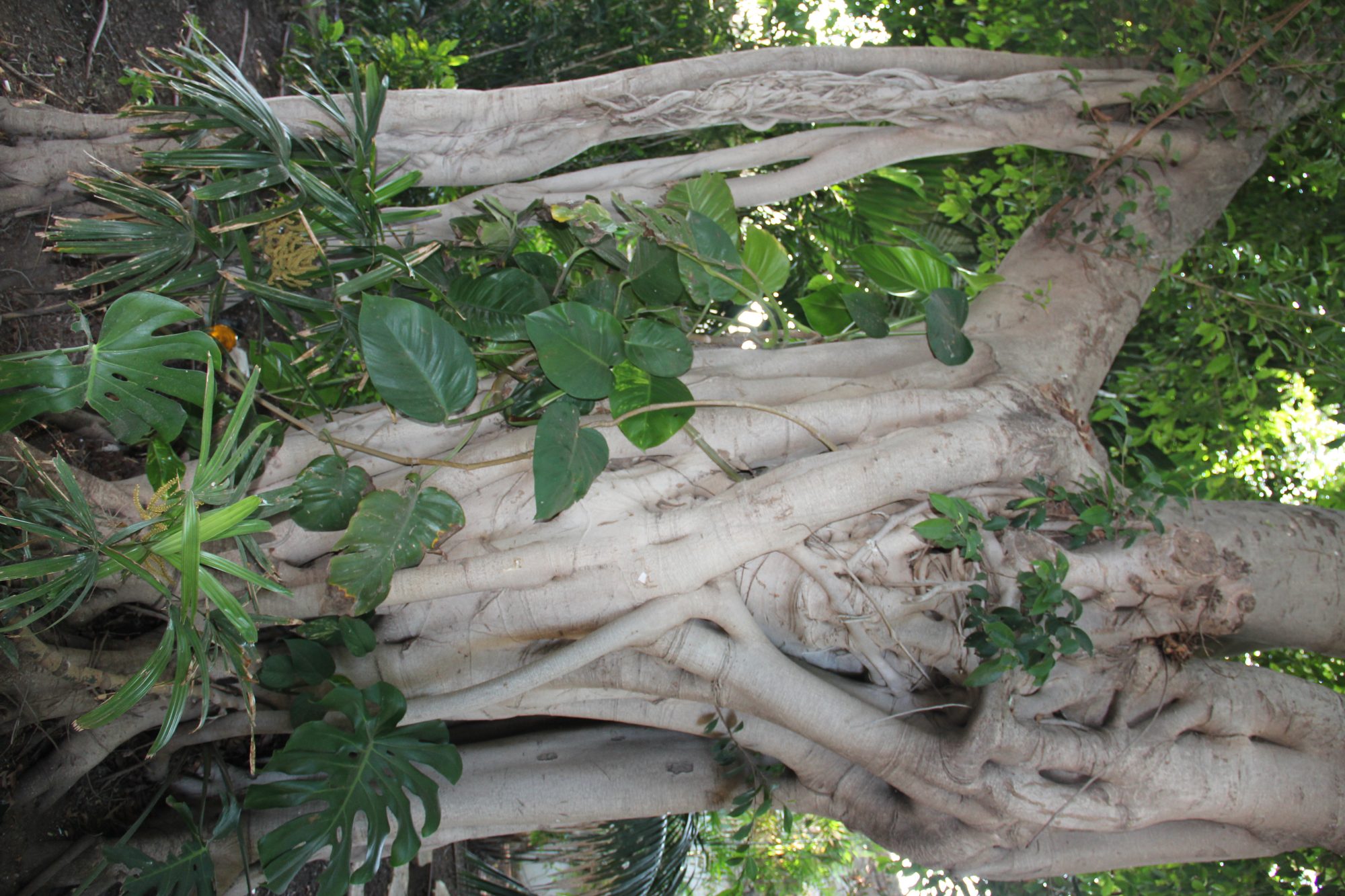 Rosh HaNikra Grottoes 40
